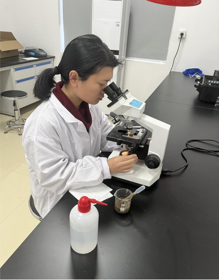 圖片5.png 圖片5.png