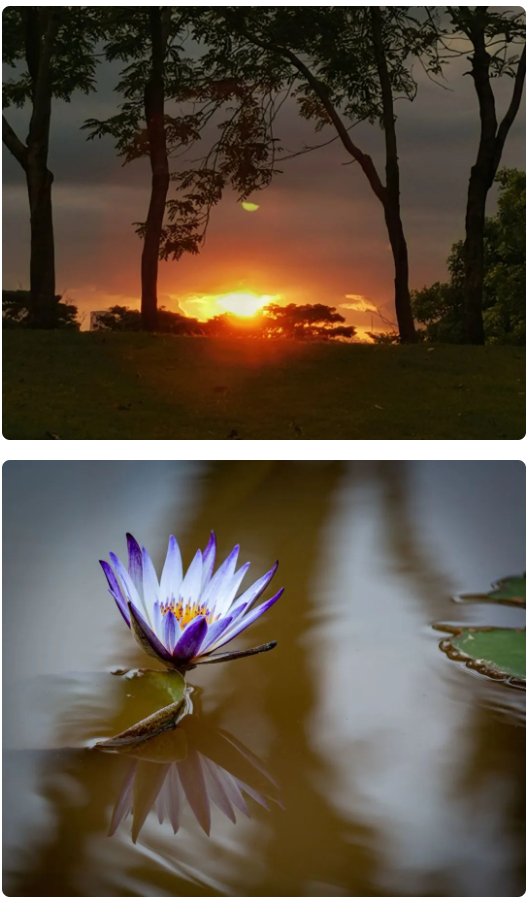 1693810290275.png 1693810290275.png